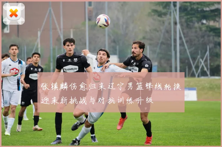 张镇麟伤愈归来辽宁男篮锋线轮换迎来新挑战与对抗训练升级